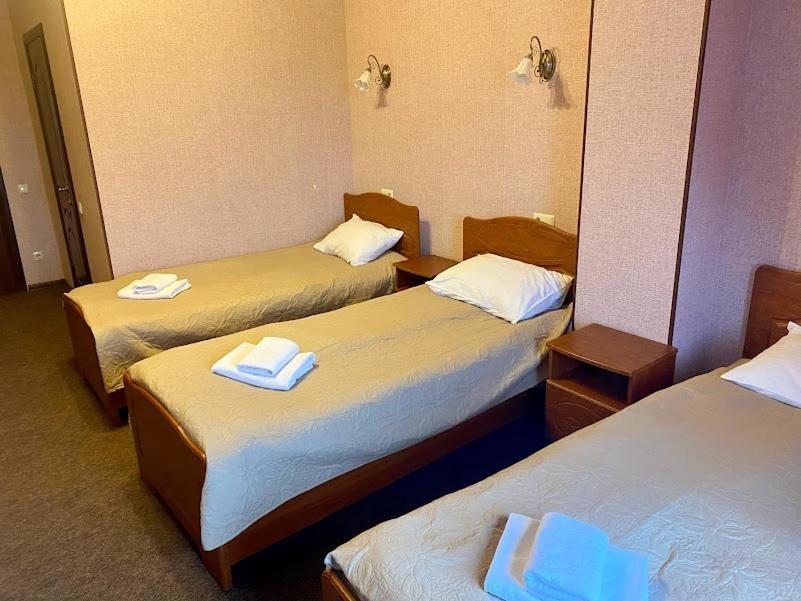 Golden Lion Hotel Boryspil Ngoại thất bức ảnh